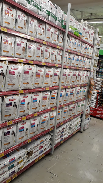 Foto 5 Cobasi Cerro Corá