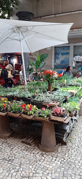 Shopping 344 Tijuca, foto 3