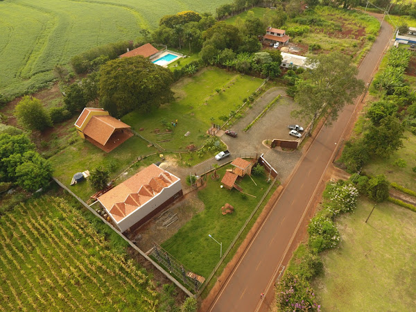 Foto 5 Hotel / Creche para cachorros e Adestramento Paraíso do Mascote