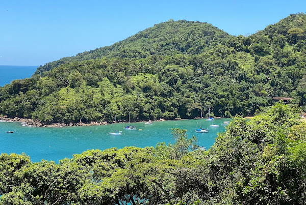 Trilha para Praia do Flamengo Trilha para Praia do Flamengo